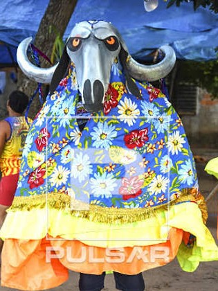 Boi Bumba