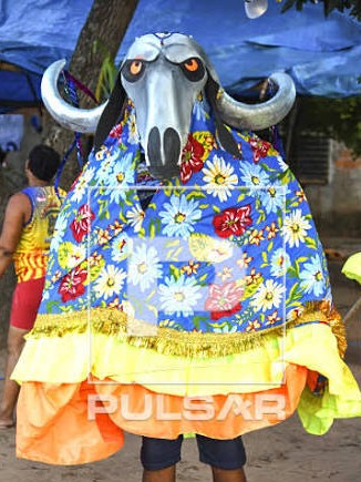 Ala do Carcara